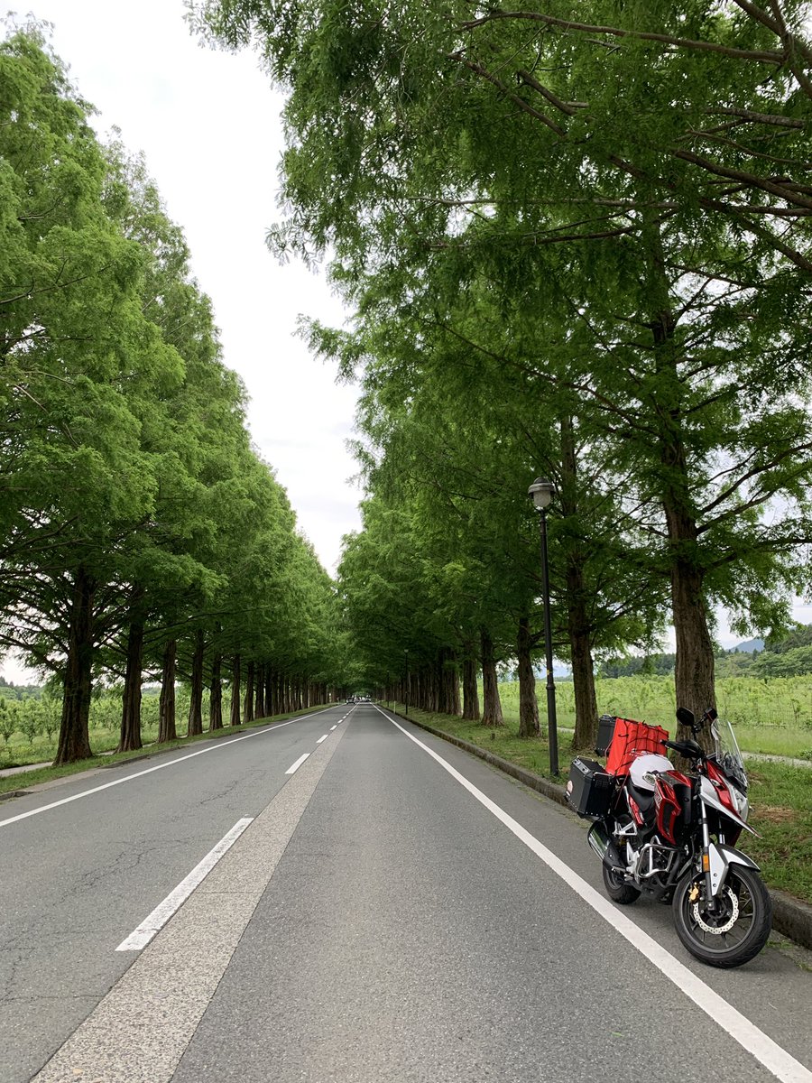 mshimochan's tweet photo. 滋賀県・マキノ

メタセコイア並木道

#CB190X
#五羊ホンダ
#ホンダバイク
#ホンダ
#バイク
#オートバイ
#赤いバイク
#190cc
#単気筒エンジン
#単気筒
#空冷エンジン
#空冷
#マキノ町
#メタセコイア並木道
#滋賀県 https://t.co/xbuYInvRUf