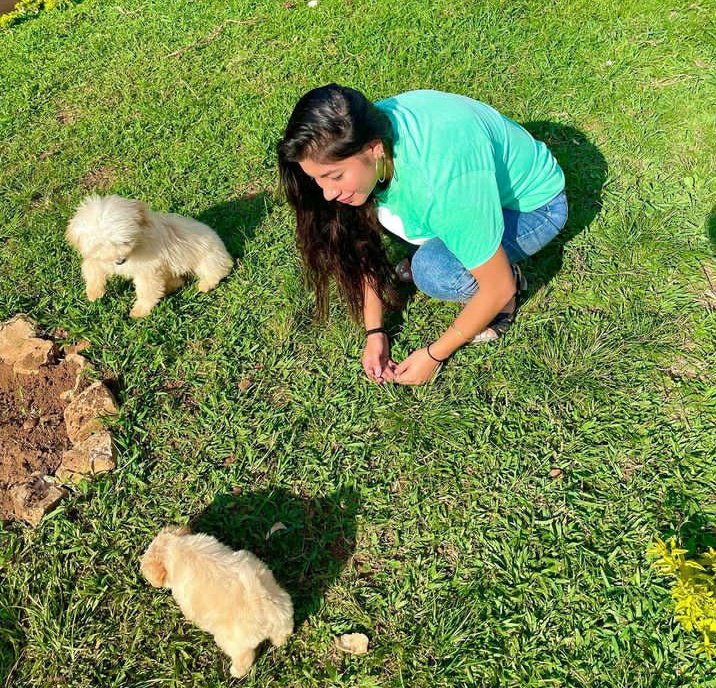 Chris_Alsinaa's tweet photo. Everyone deserves a companion 🐶❤ Don't you? Get a puppy today 🥺
 🥰 Slide into my DM let’s get this deal sealed.

Please help me retweet and Like my customers might be on your TL  🙏♥️ https://t.co/zwiVMJbVxX