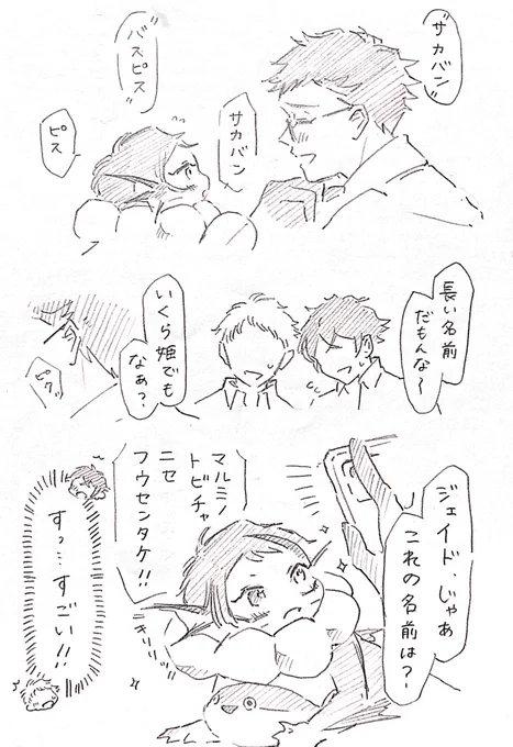 結局は興味 ポンデ稚魚トレジェイ