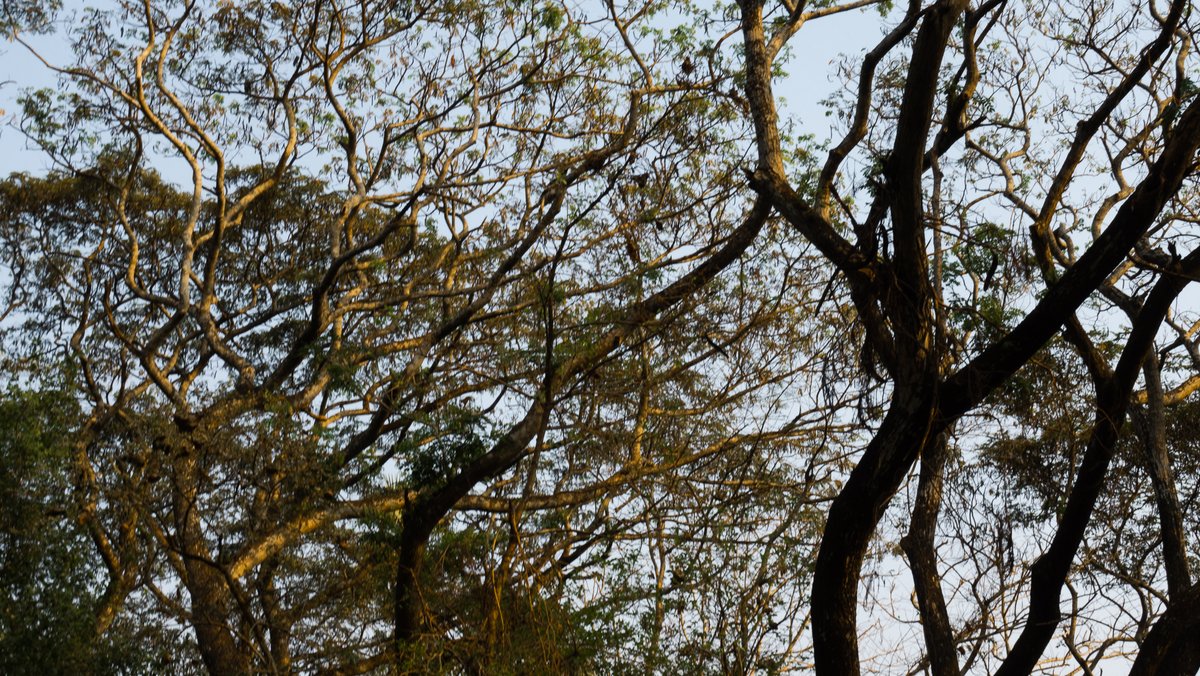 GM, beautiful people