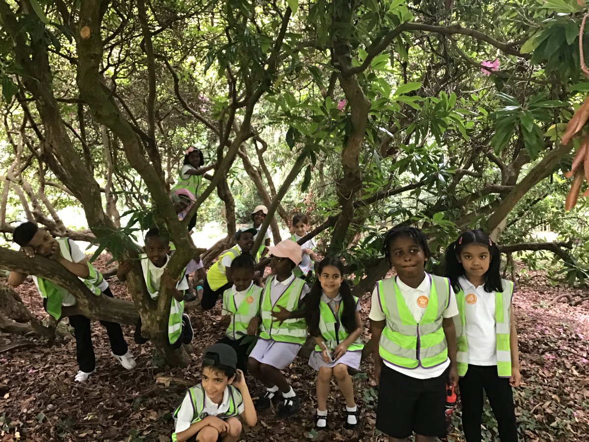 HazelburySch's tweet photo. Starling and Wren took a trip to Capel Manor Gardens where they got to explore the plants and nature as part of their Science lesson this term. #science #nature #capelmanor https://t.co/KrGad7tH5L