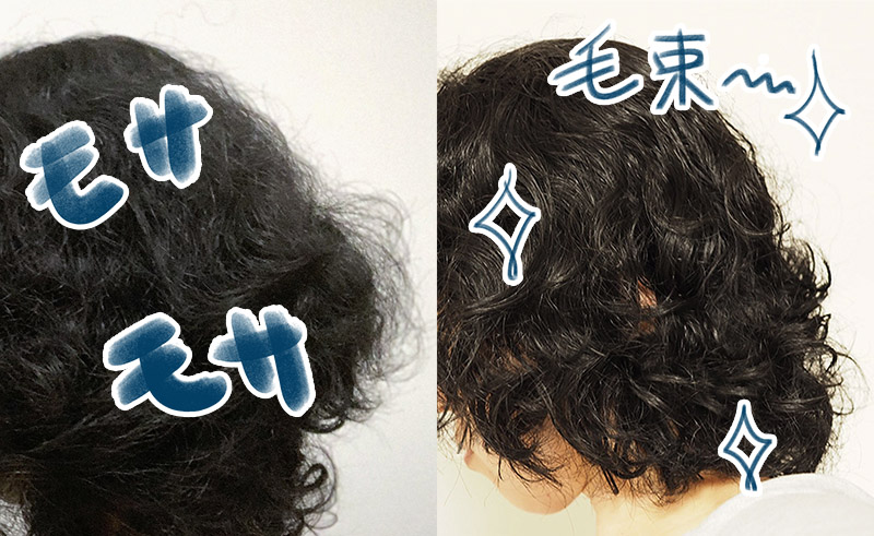 梅雨だね！天パのみんな！元気にうねってる！？
デフォルトでパサパサボサボサでまとまらない俺たちに足りないのは〇〇だったって知ってた！？ https://t.co/CCapJDOG3Q