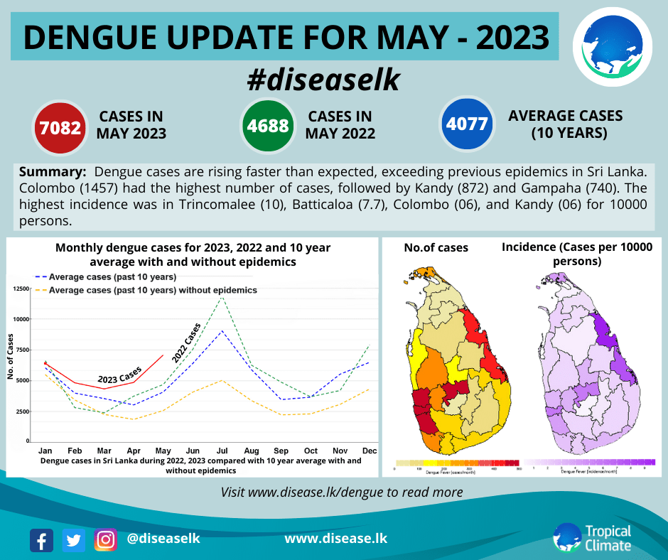 diseaselk's tweet photo. The highest number of dengue cases were in Colombo, followed by Kandy &amp; Gampaha. The highest incidences were observed in Trincomalee, Batticaloa, Colombo,&amp; Kandy. Read more: https://t.co/lo4B1Sfacm… #lka #dengue #denguefever #diseaselk https://t.co/0fadENgX55