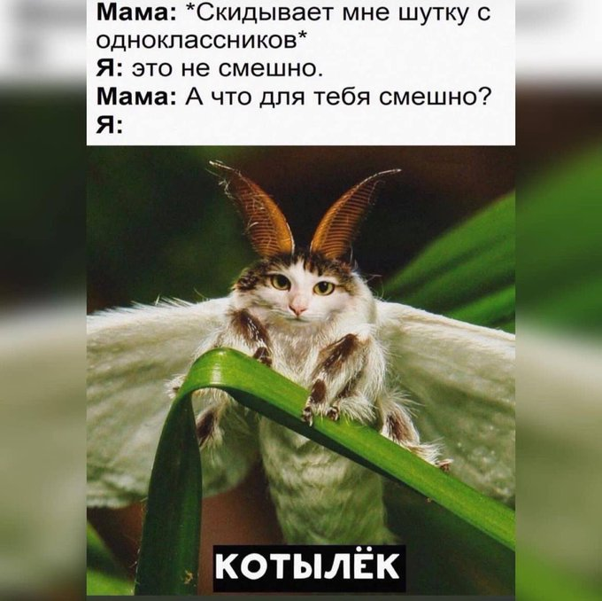 🕛🕒Theft of Time 🕕🕘 (@theftoftime) on Twitter photo 