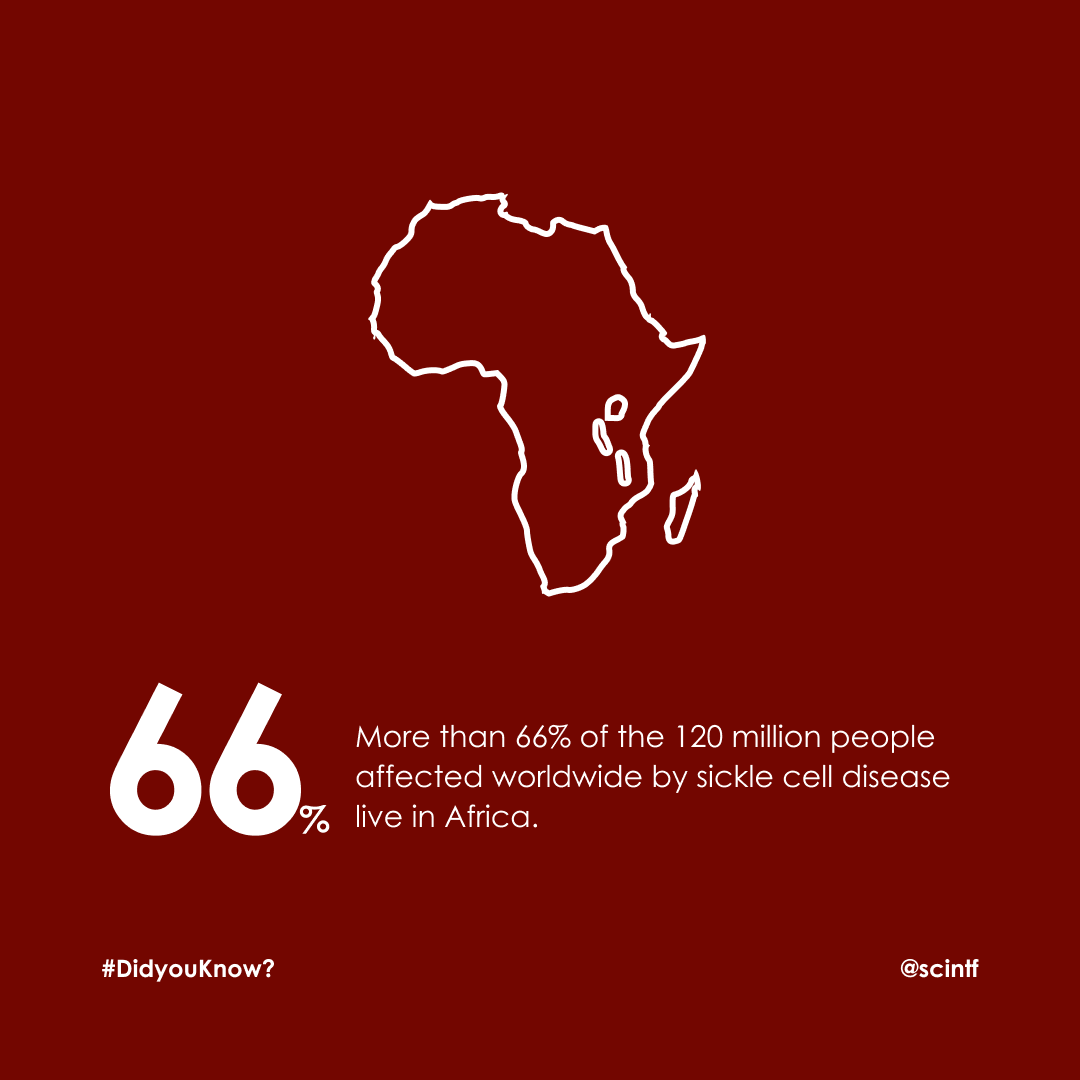Sickle Cell International Foundation Cameroon tweet media