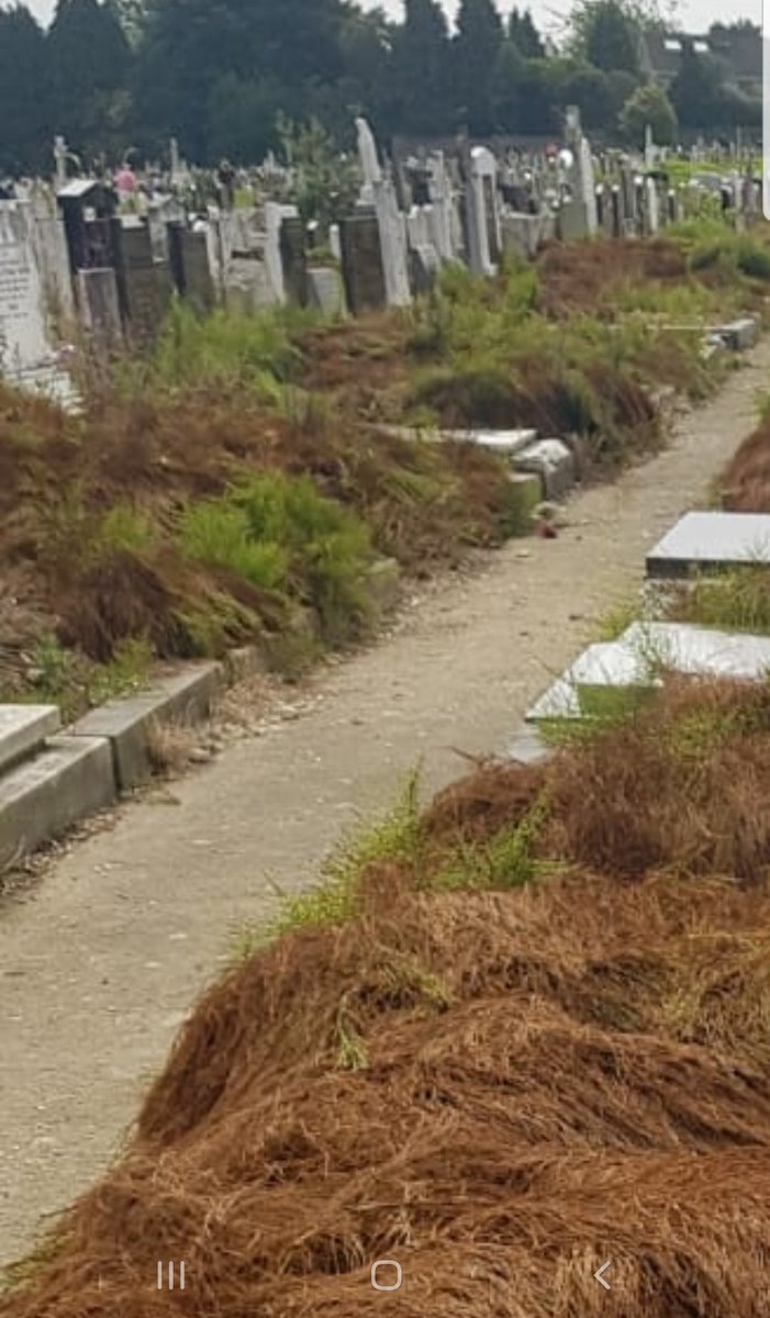 awaywithwordshk's tweet image. 1/2 Last year An Taisce awarded a Green Flag to Deansgrange Cemetery. The award celebrates best practice in cleanliness and perserving richness of green spaces.
These photos show the disrespect and neglect of the resting place of our loves ones is disgraceful.
#dlrcc #antaisce