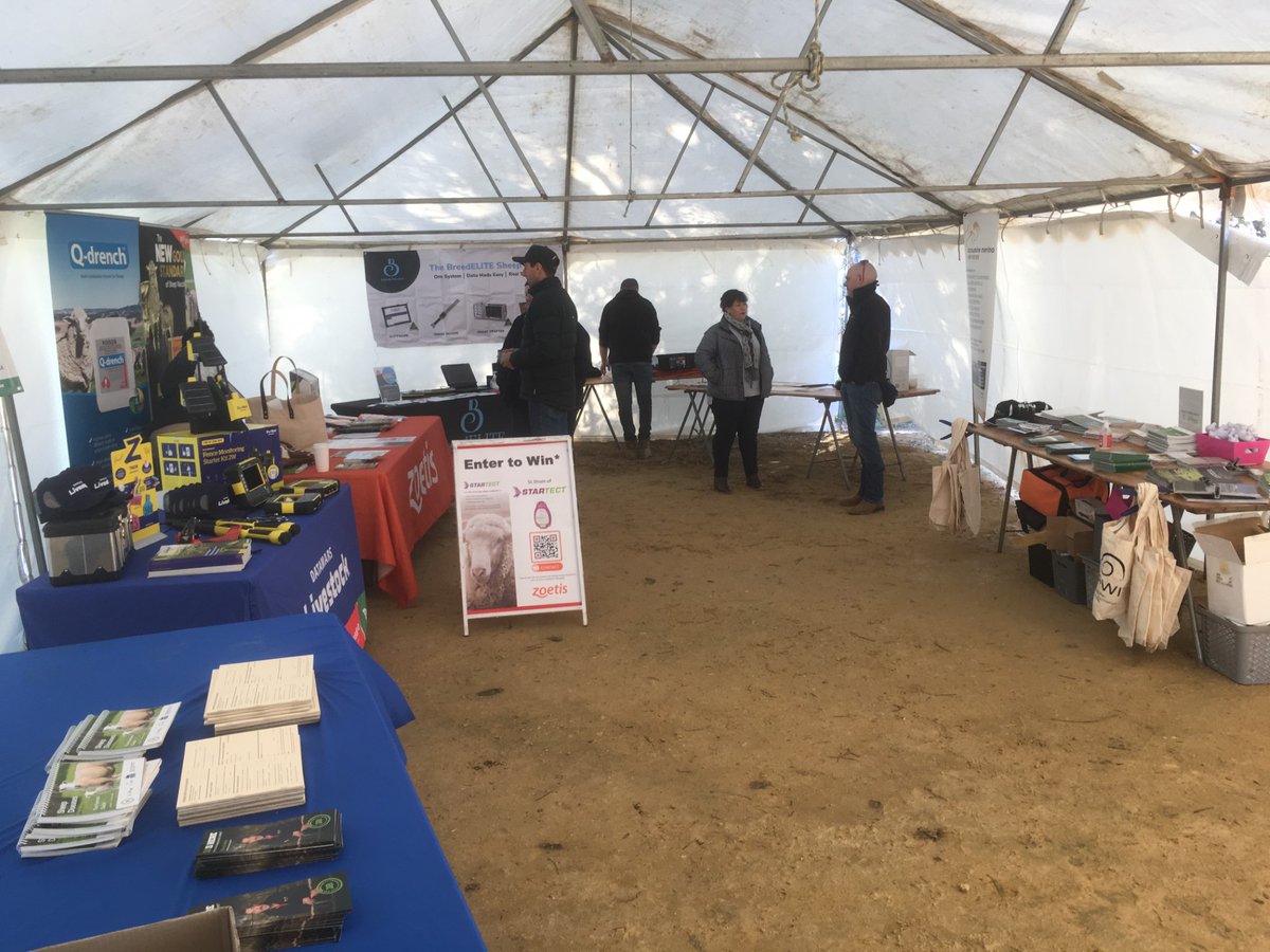 Thanks to everyone who came to the SA #Merino Sire Evaluation Trial Field Day and viewed the '22 drop progeny of 16 different Stud Merino Sires. Well done to all volunteers, organisers, trade displays and guest speakers + special thanks to the Eckert family for hosting the trial.