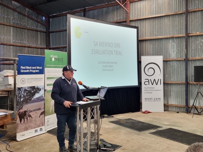 Merino SA tweet media