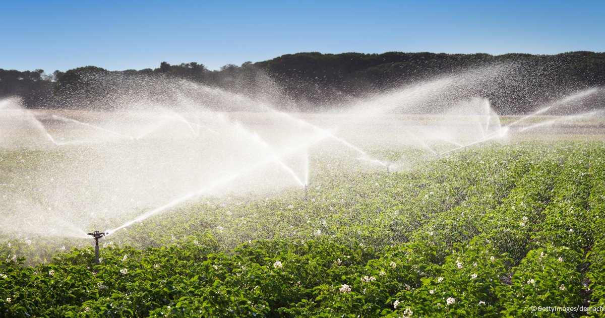 Water is a precious resource that is becoming more and more scarce

As of today, 🆕 requirements for a safe, transparent and accessible reuse of treated wastewater in agricultural irrigation become the norm across most of the 🇪🇺

More info 👉europa.eu/!PHgyDr

#CleanWaterEU