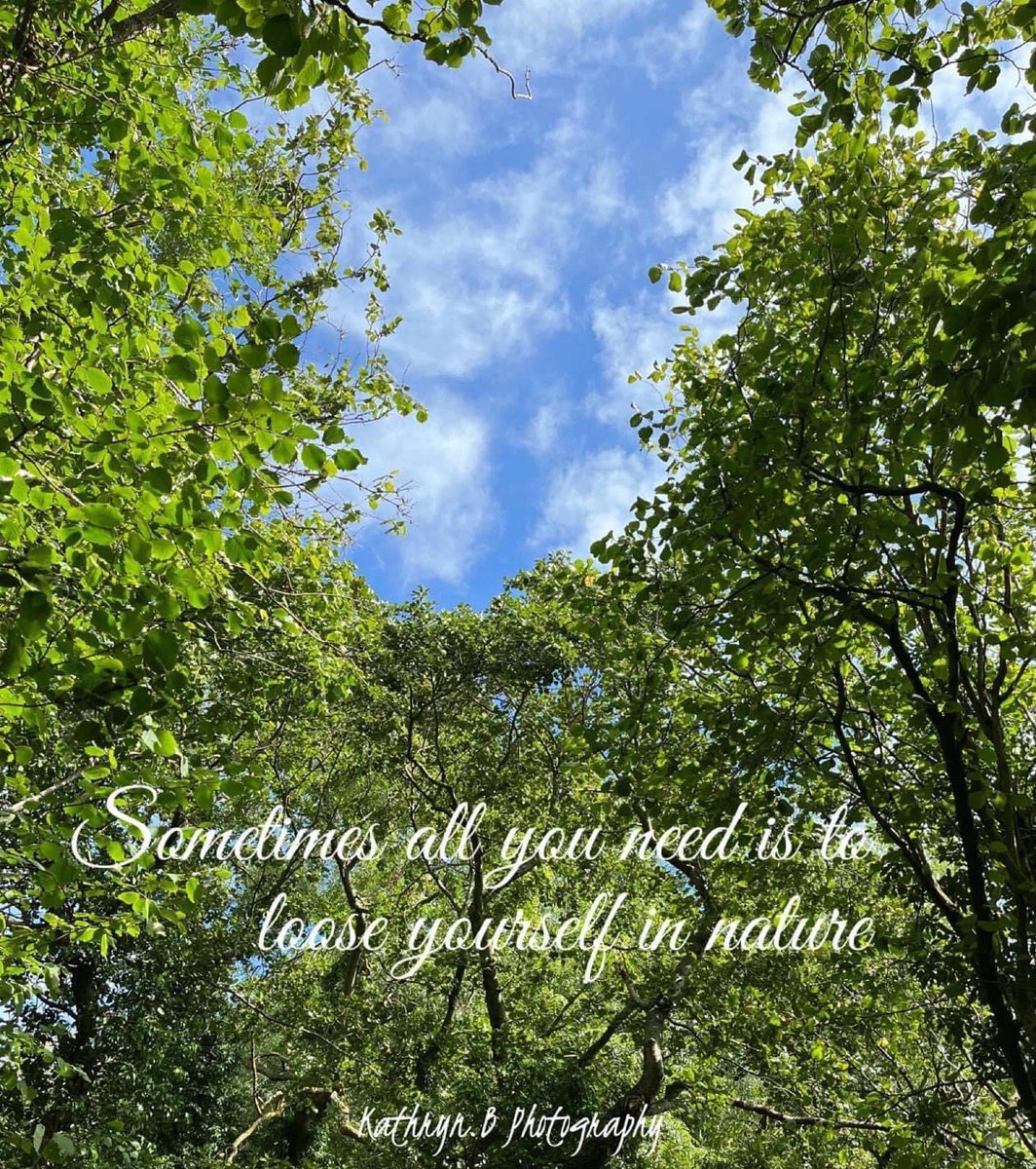 Happy Monday Wishing you all a wonderful week ahead!

linktr.ee/jadesonlinegif…

#newweeknewstart #mondaymotivation #looseyourselfinnature #peacewithin #relaxandunwind #groundingenergy  #naturevibes #nature #naturephotography #giftsinspiredbynature #gifts #mhhsbd #derbyshire