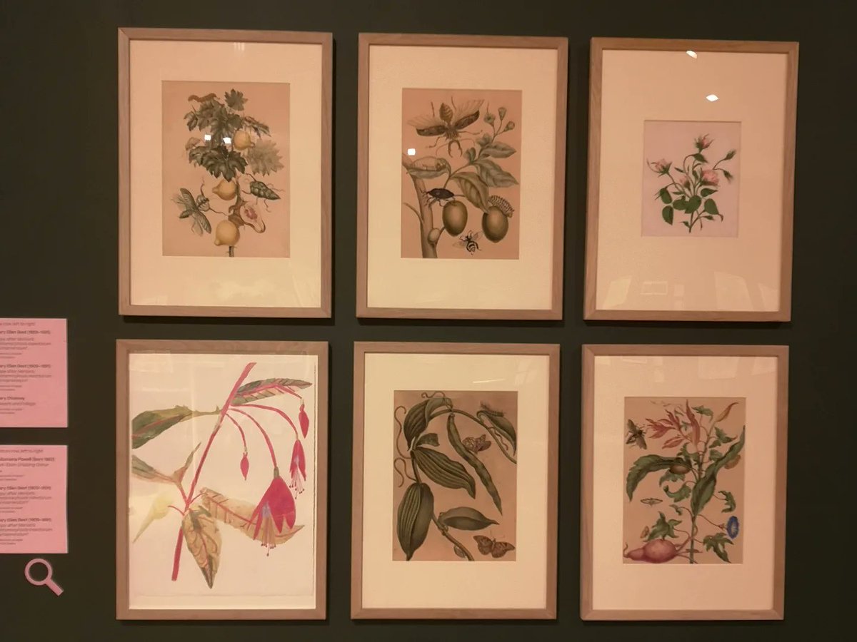 🖤Laura🖤 tweet media