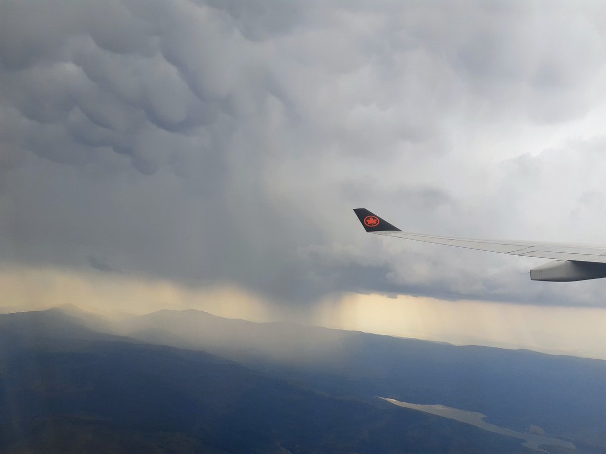 Luis Durán tweet media