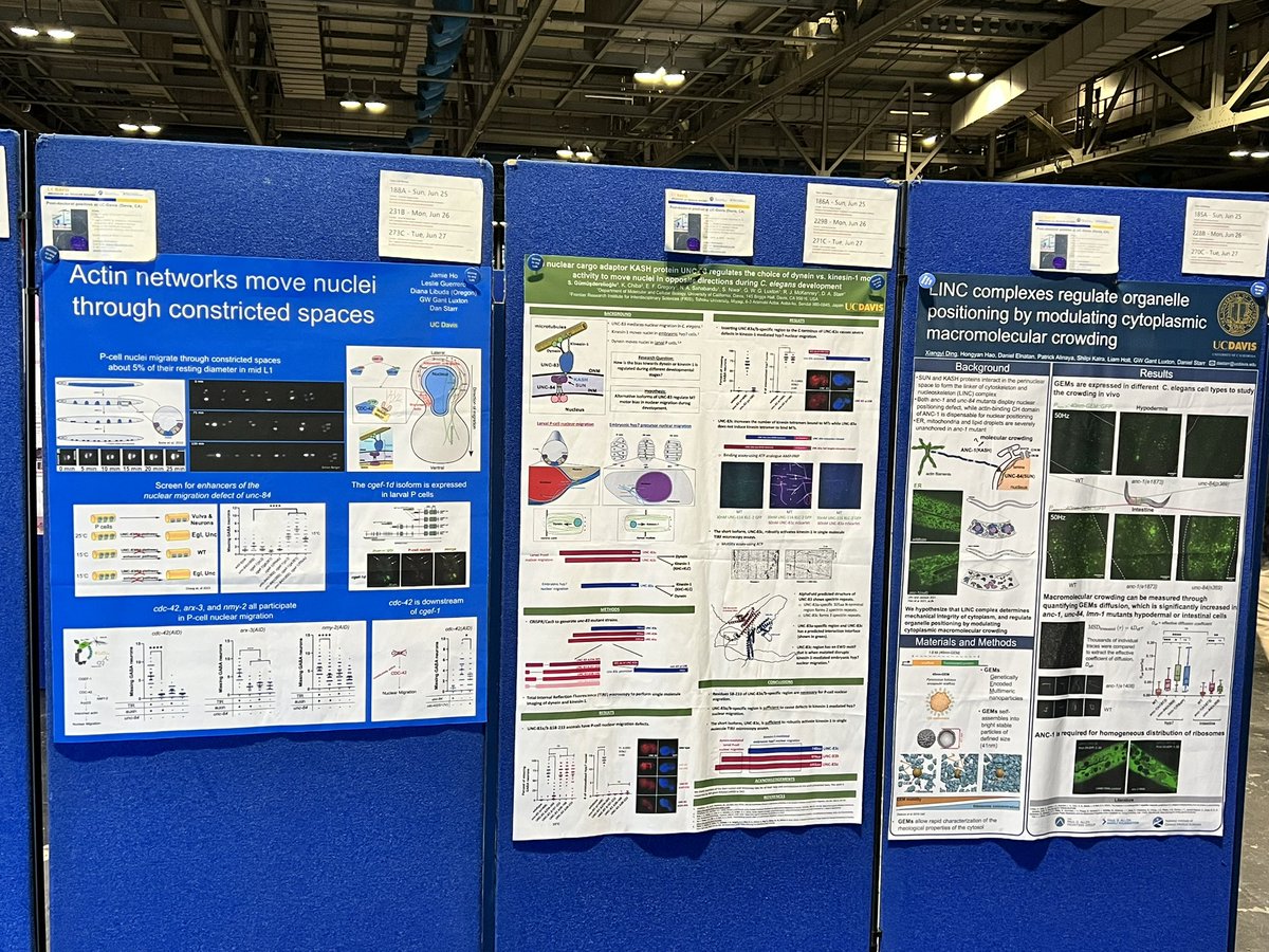 Come talk with @DanStarrUCDavis and I about our sparkly worms! 💎🪱 @UCDavisResearch @AllenInstitute #Worm23 #frontierscience