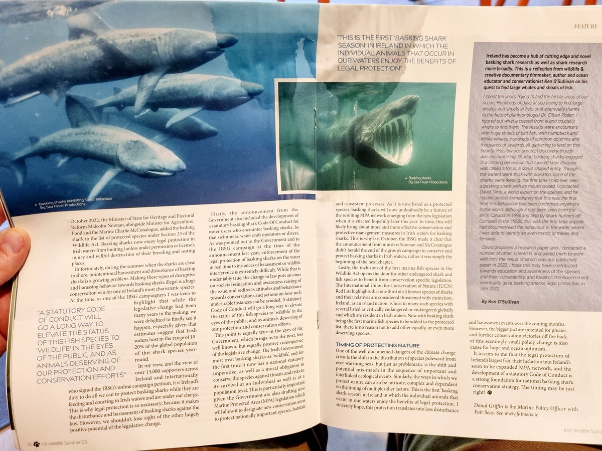 Recent article of mine in the fantastic @Irishwildlife magazine on #baskingsharks and the Irish Basking Shark Group (IBSG) campaign to afford them legal protection in 🇮🇪 @BaskingIrish @WhitmoreJen 🙌🦈💙

TLDR: timing is right for a National Basking Shark Conservarion Strategy 🙌