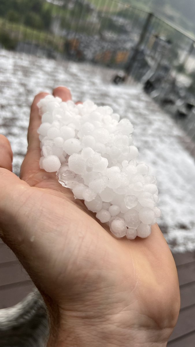 Robert Gesink tweet media