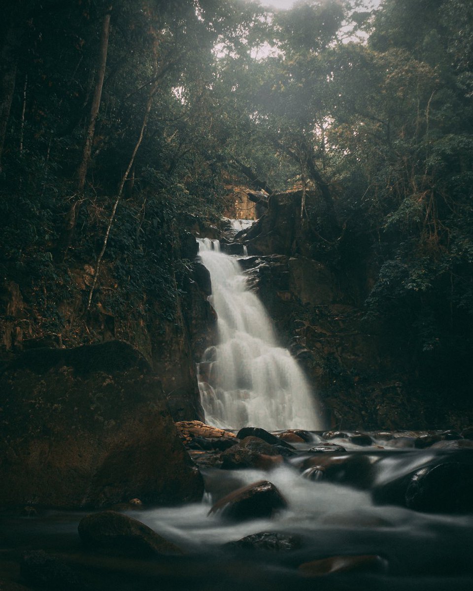 harry_pty's tweet photo. Yo y mis fotos #momentmonday https://t.co/ar3DhSrsJV