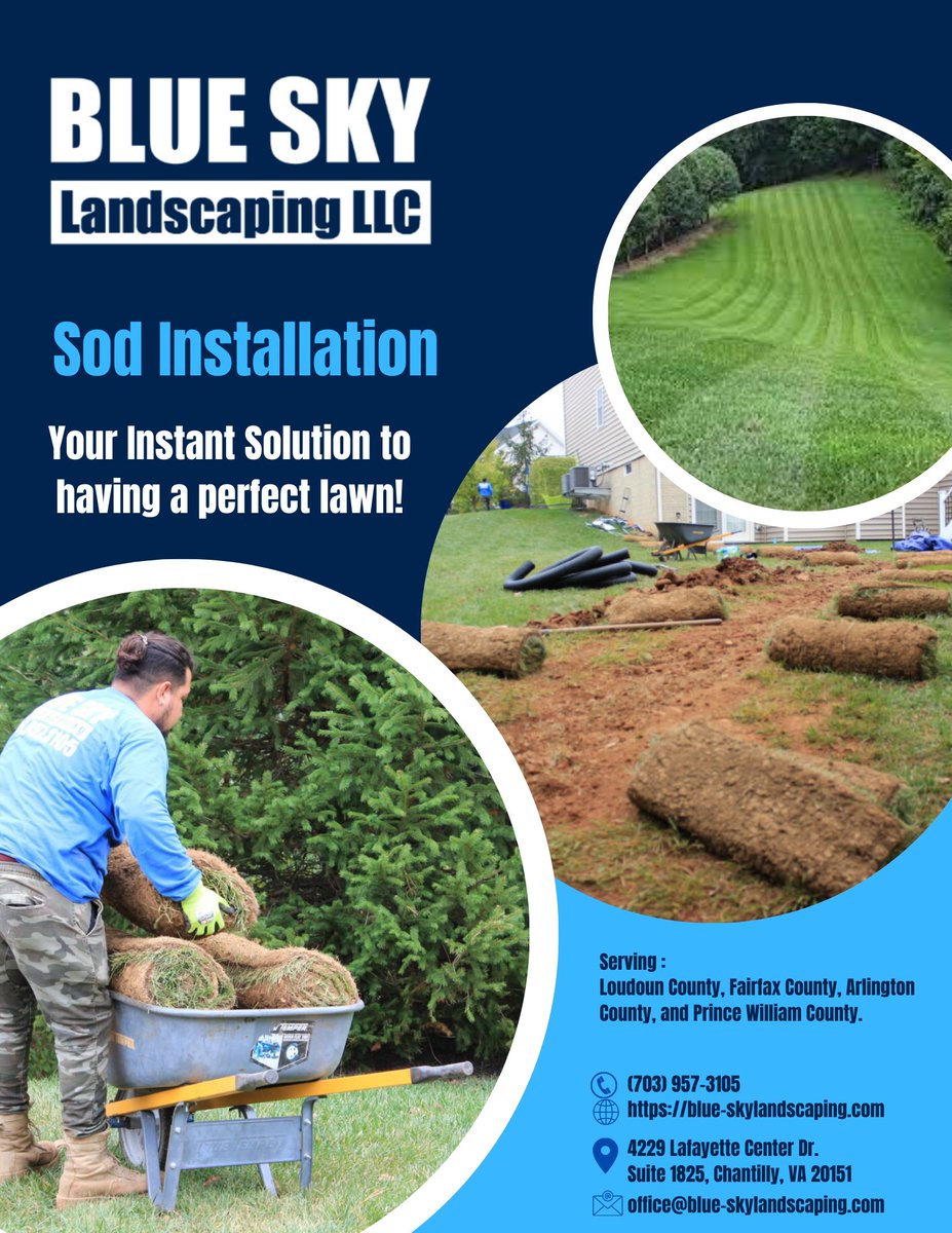 Ready to transform your outdoor space? Blue Sky Landscaping's sod installation services are the key to a vibrant and healthy lawn. Get ready to enjoy the beauty of nature right in your own backyard! 🌳🌺 

#GardenTransformation #SodExperts #OutdoorOasis