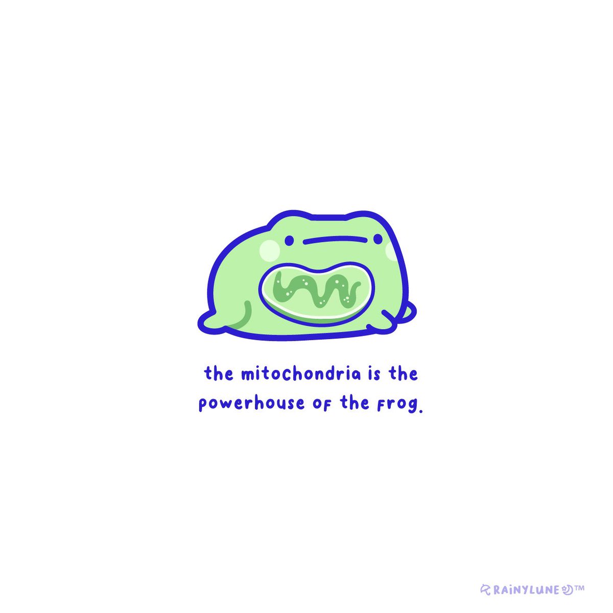 mitochondria is the powerhouse of the frog