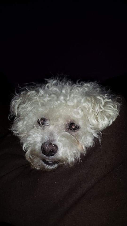 MisterKrees tweet media