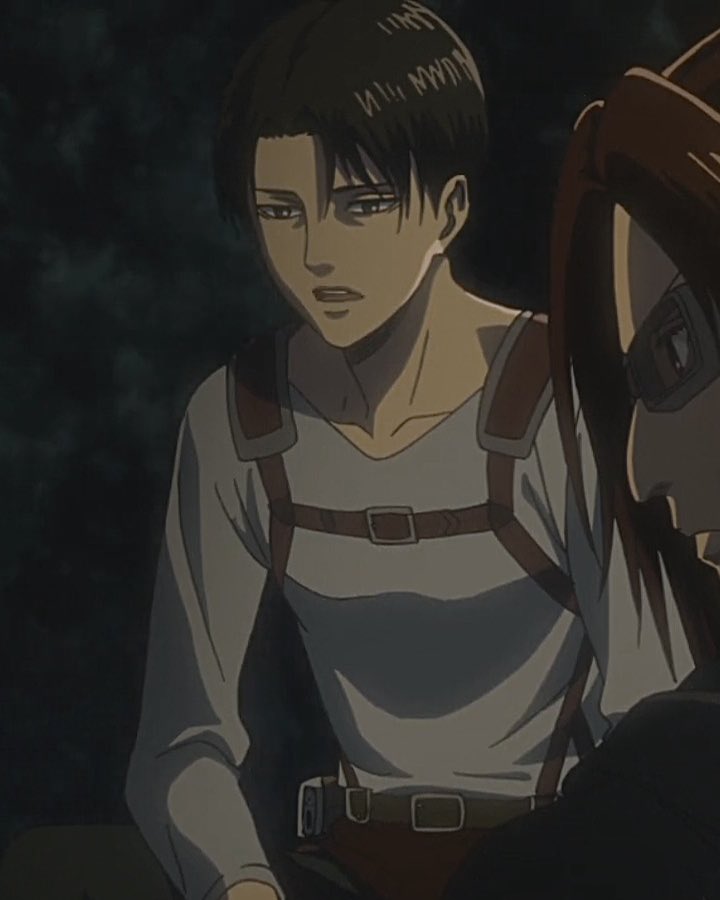 levi archives tweet media