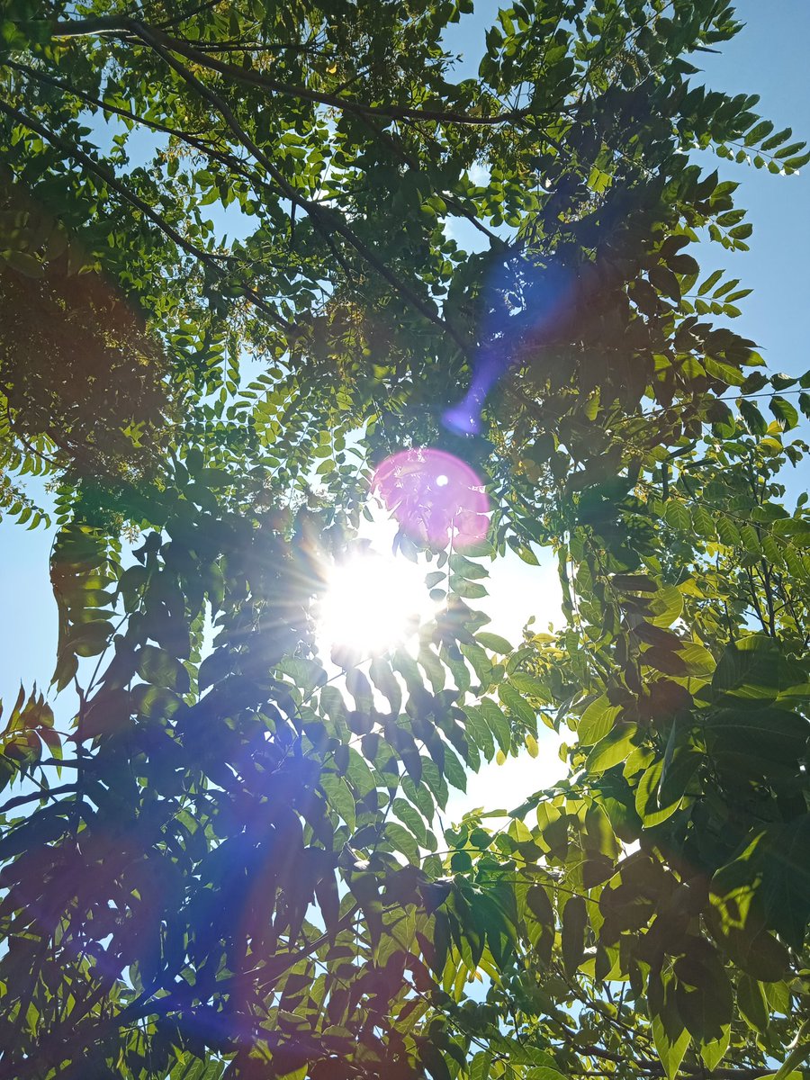 takegawww's tweet photo. Просто літнє сонечко 🌞🩷 https://t.co/dUYhh3GTtH
