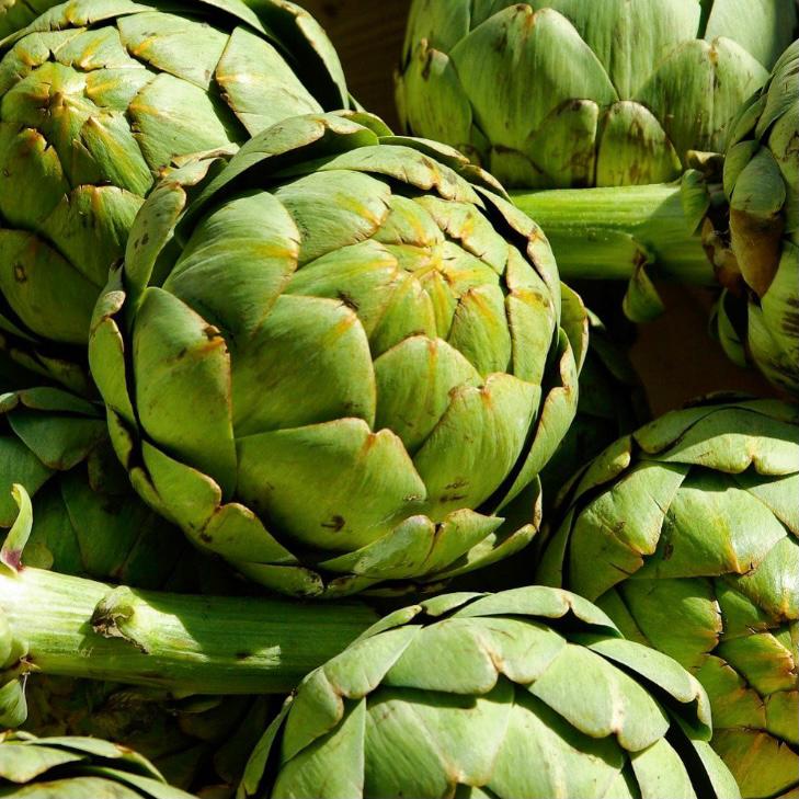 New season of Bedlam Farms Organic globe artichokes 

#Rushtons #thechefsgreengrocer #wholesale #catering #hospitality #restaurant #chef #londonsupplier #seasonalproduce #NCGM #Britishproduce #globeartichokes