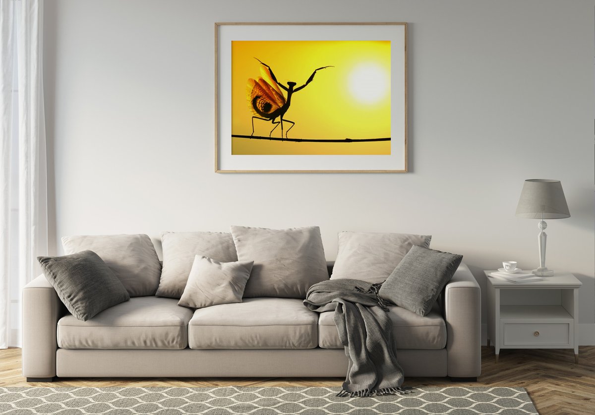 careofposters's tweet image. Poster av bildskaparen Hasan Baglar med namnet "Sunward Poster".

Handla den här: buff.ly/42VpQIV 

#fotokonst #bildkonst #inredning # #inredningsinspo #inredningstips #poster #affisch #tavla #husochhem #design #heminredning #dekorationer #konst #fotografi