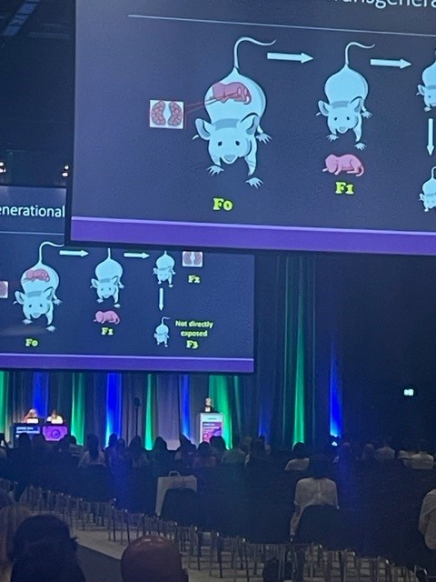 #SSR Secretary, Jodi Flaws, speaking at #ESHRE2023 on Endocrine Disrupters. After her presentation, people were lined up to ask her questions! Way to go Dr. Flaws! 💥