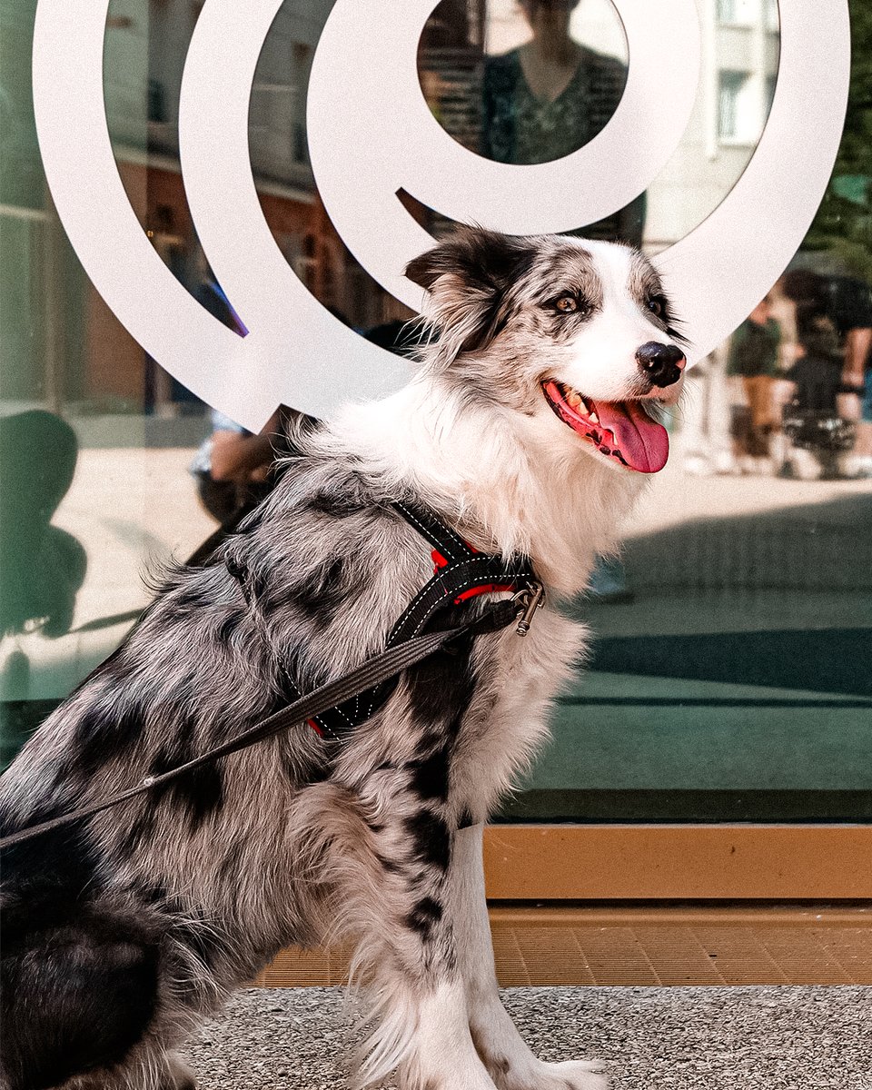 Ubisoft FR 🇫🇷 tweet media