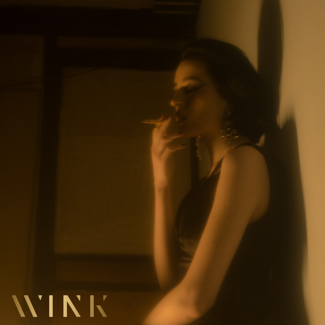 WINK (@winkeverywhere) on Twitter photo 