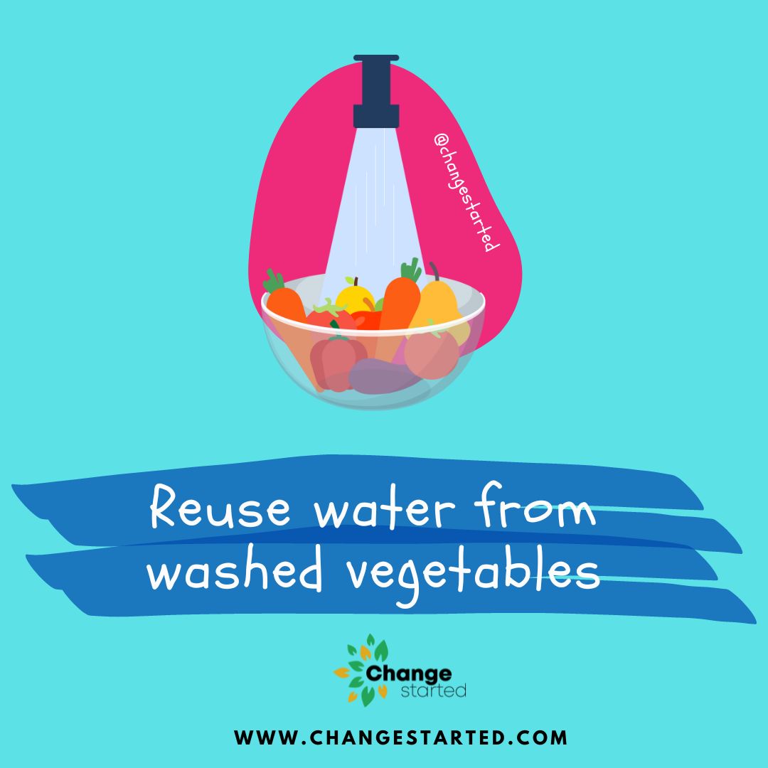 Reuse water from washed vegetables to water plants and other purposes.

#savewater #sustainableliving #sustainability #sustainable #ecofriendly #conservewater #reduce #kitchengoals #kitchen #garden #gardening #gardeningtips #gardener #ReduceReuseRecycle #reuse