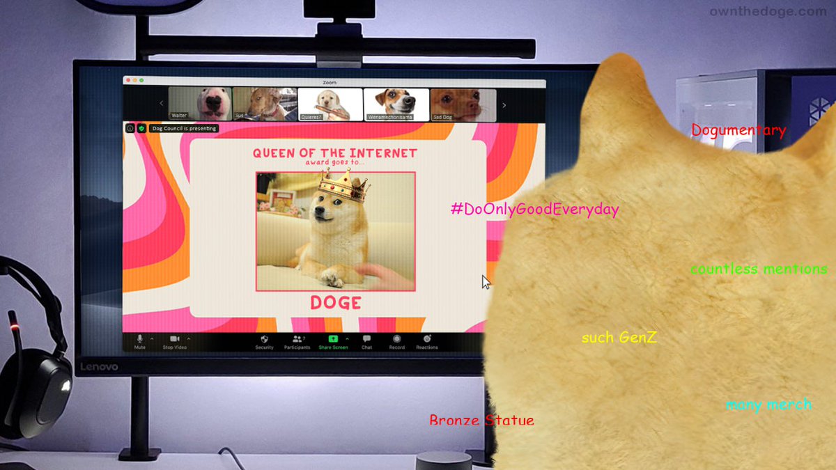 Doge is the World’s Most Famous Dog 🐶🌟

Kabosu, the iconic Shiba Inu, has taken the internet by storm and become a global sensation!

But why is Doge THE superstar? Let's dig in and uncover the secrets behind Doge's fame🧵