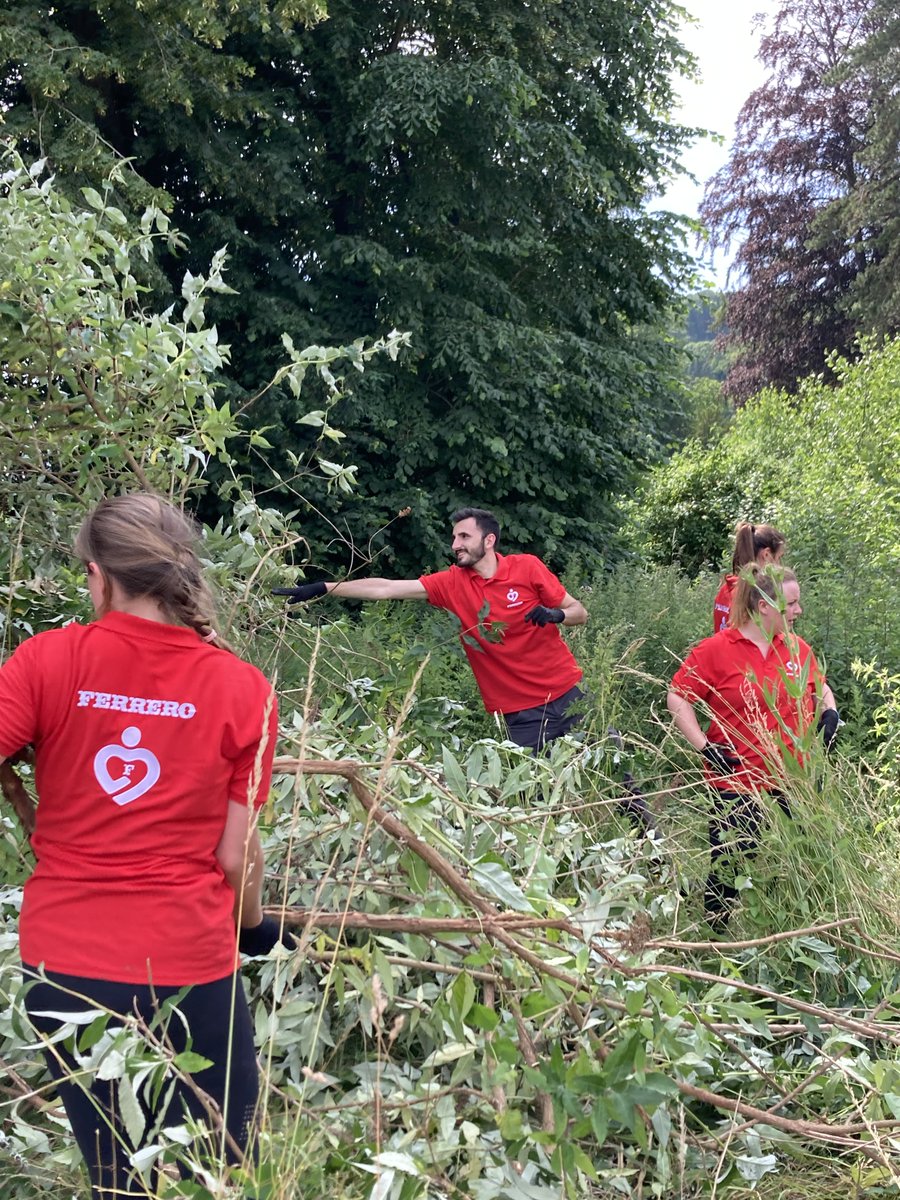 FerreroFr's tweet photo. Semaine dernière👉3ème édition du #Dayforgood , l’occasion pour 186 de nos collaborateurs de consacrer une journée entière pour venir en aide à 19 associations de Rouen !🤝Cette année, 22 missions ont été réalisées !🎗️
Retour en images sur cette journée d’échanges et de partage🫶 https://t.co/66RoHBibRM