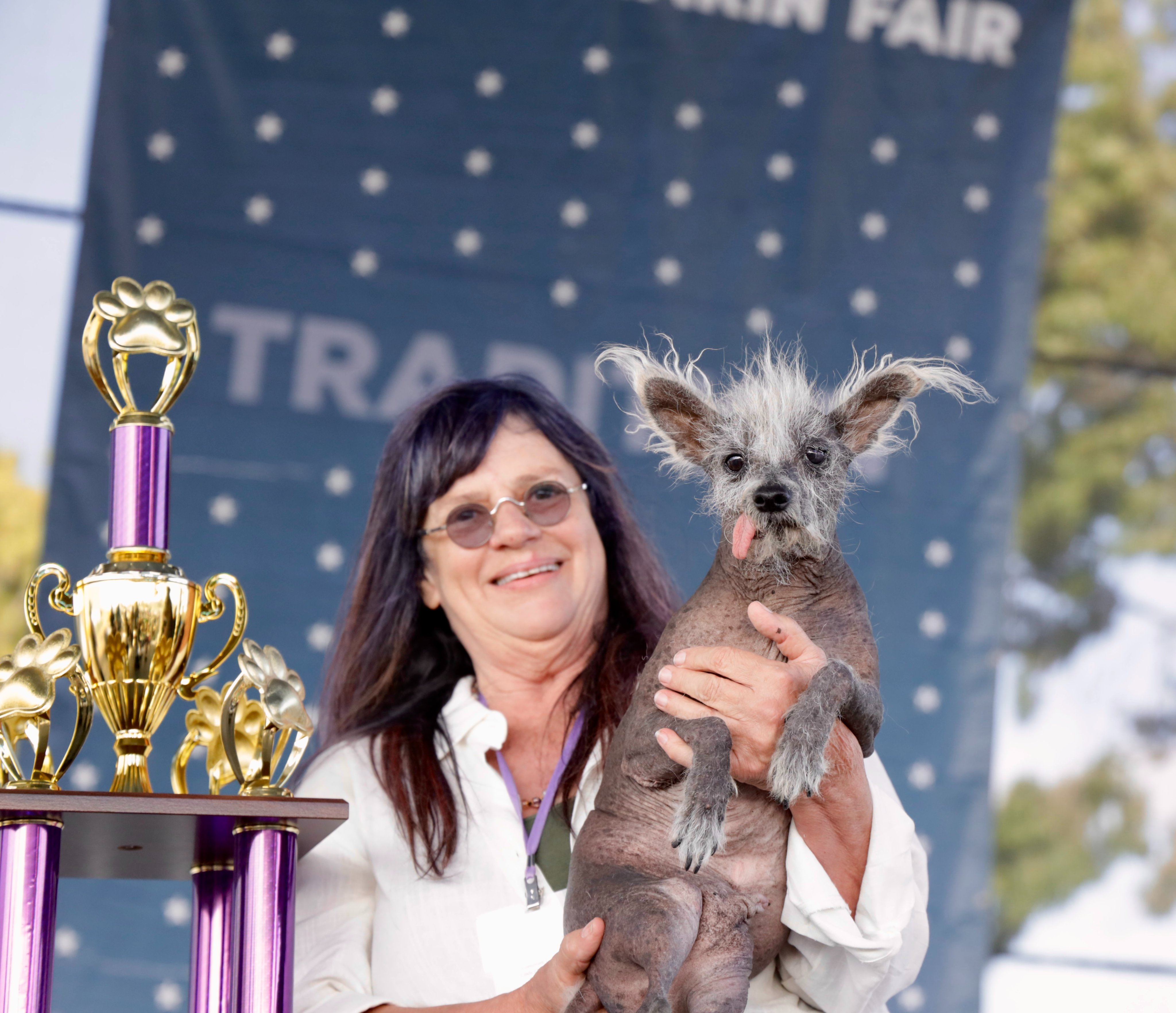 World's ugliest dog chinese on sale crested