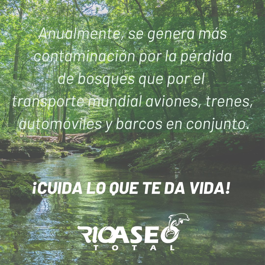 RioaseoTotal's tweet photo. Acciones como sembrar un árbol, cuidar los recursos naturales, separar correctamente nuestros residuos contribuyen con la sostenibilidad del medio ambiente  🌲🌲🌲 https://t.co/OaYwGpfkws