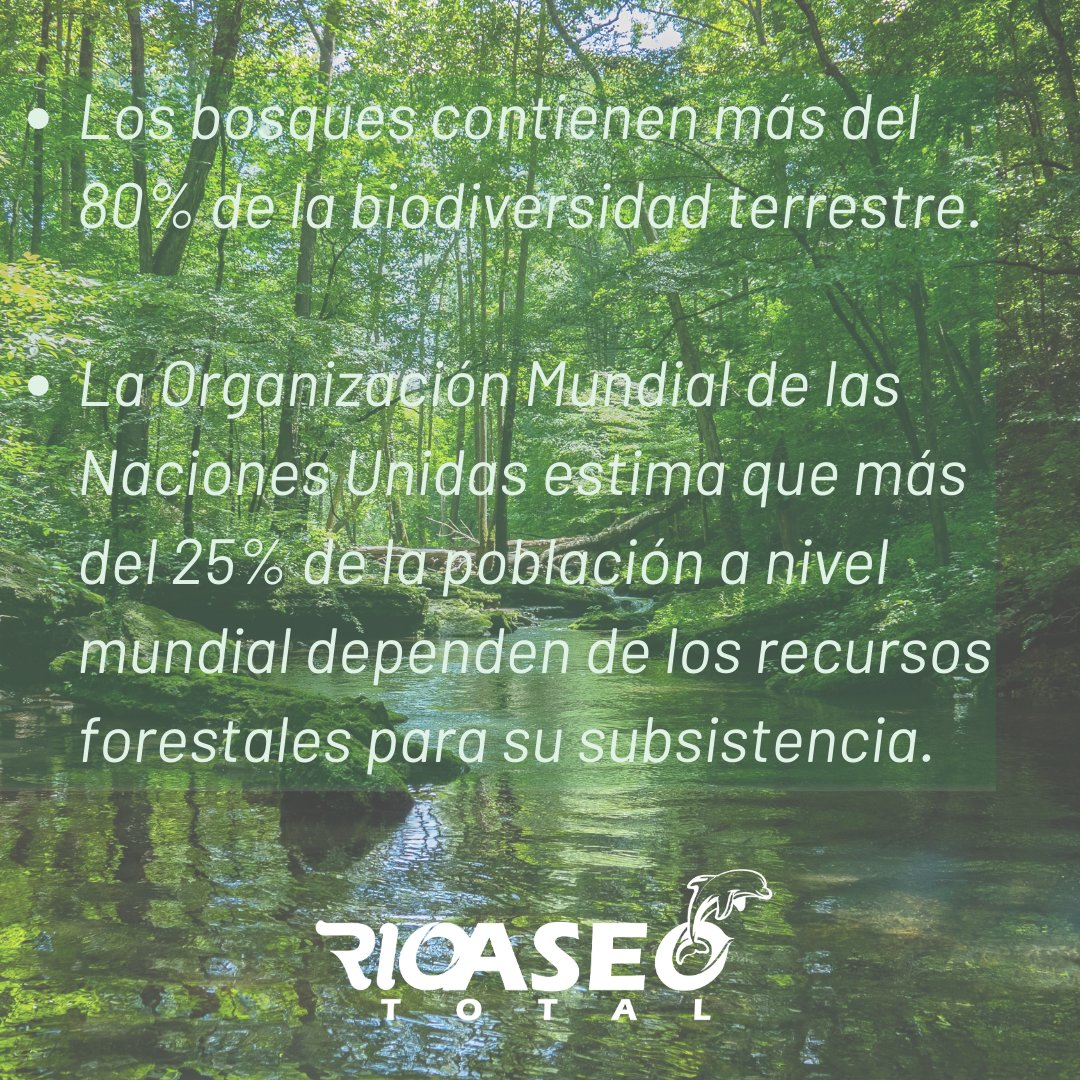 RioaseoTotal's tweet photo. Acciones como sembrar un árbol, cuidar los recursos naturales, separar correctamente nuestros residuos contribuyen con la sostenibilidad del medio ambiente  🌲🌲🌲 https://t.co/OaYwGpfkws