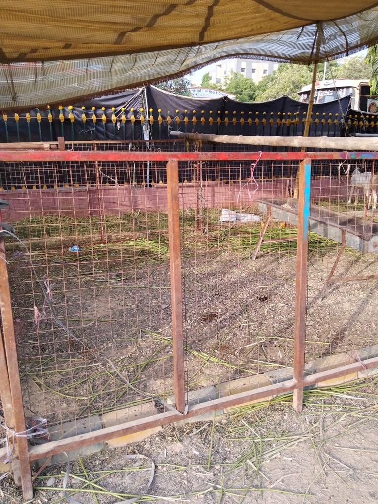 Cattle removed from Rizwan Park Fb area upon receiving complaints from neighbourhood. 

#DMC #SindhPolice #Antiencroachment #Gulberg