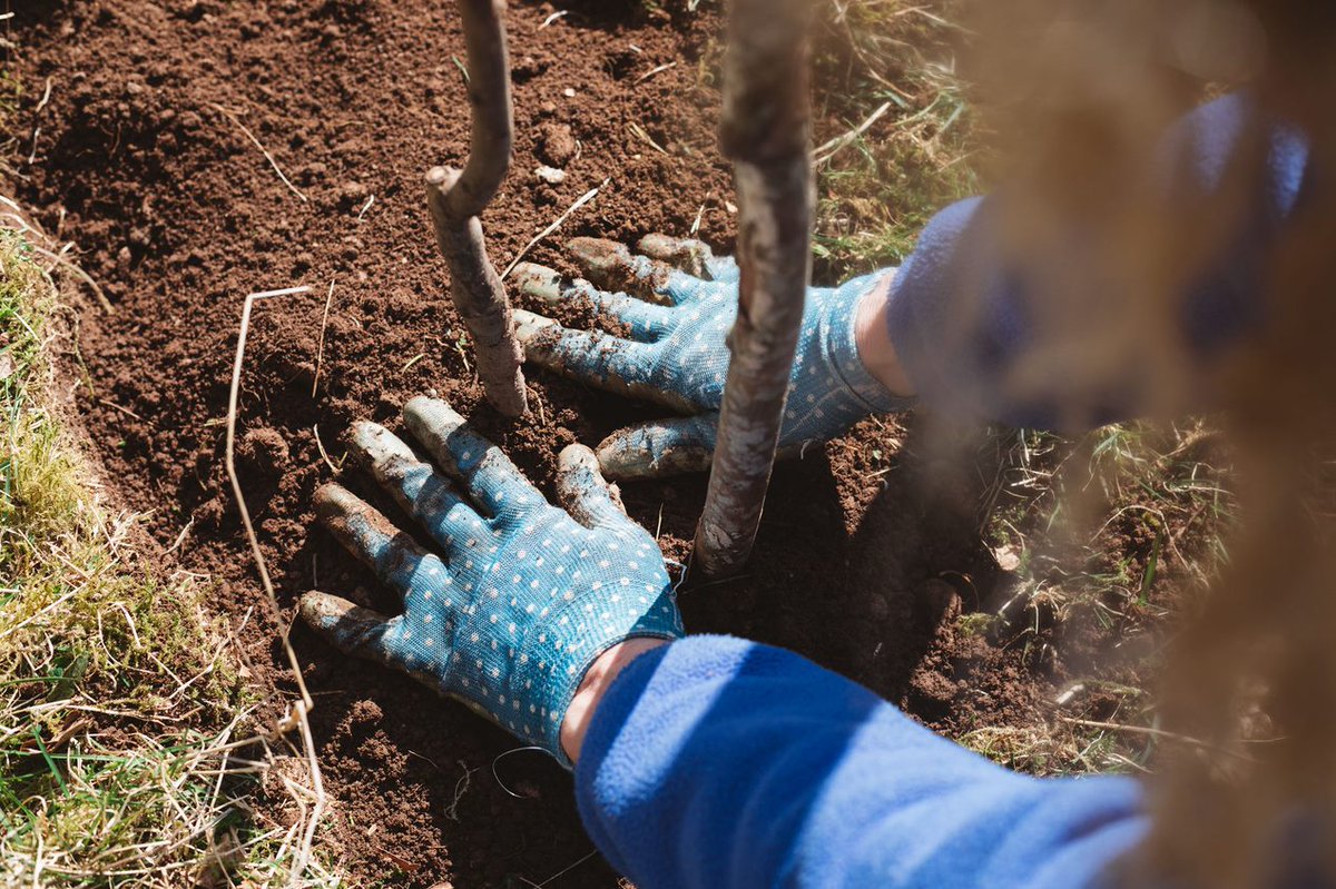 🧵

Despite being a National Park, nature is in real trouble here and we are losing nature at a scale never experienced before.

Addressing this issue and restoring nature is one of three key themes within our Draft National Park Partnership Plan.