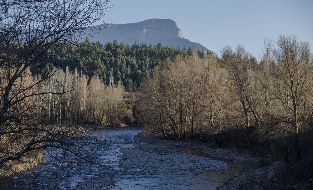Querer a #Jaca y además gobernarla son tareas parejas que implican mesura y moderación, cuando no exigencias acompañadas de "puñetazos en la mesa". Lee aquí👇👇 la carta a nuestro alcalde Carlos Serrano
jacasinperderelnorte.blogspot.com/2023/06/carta-…