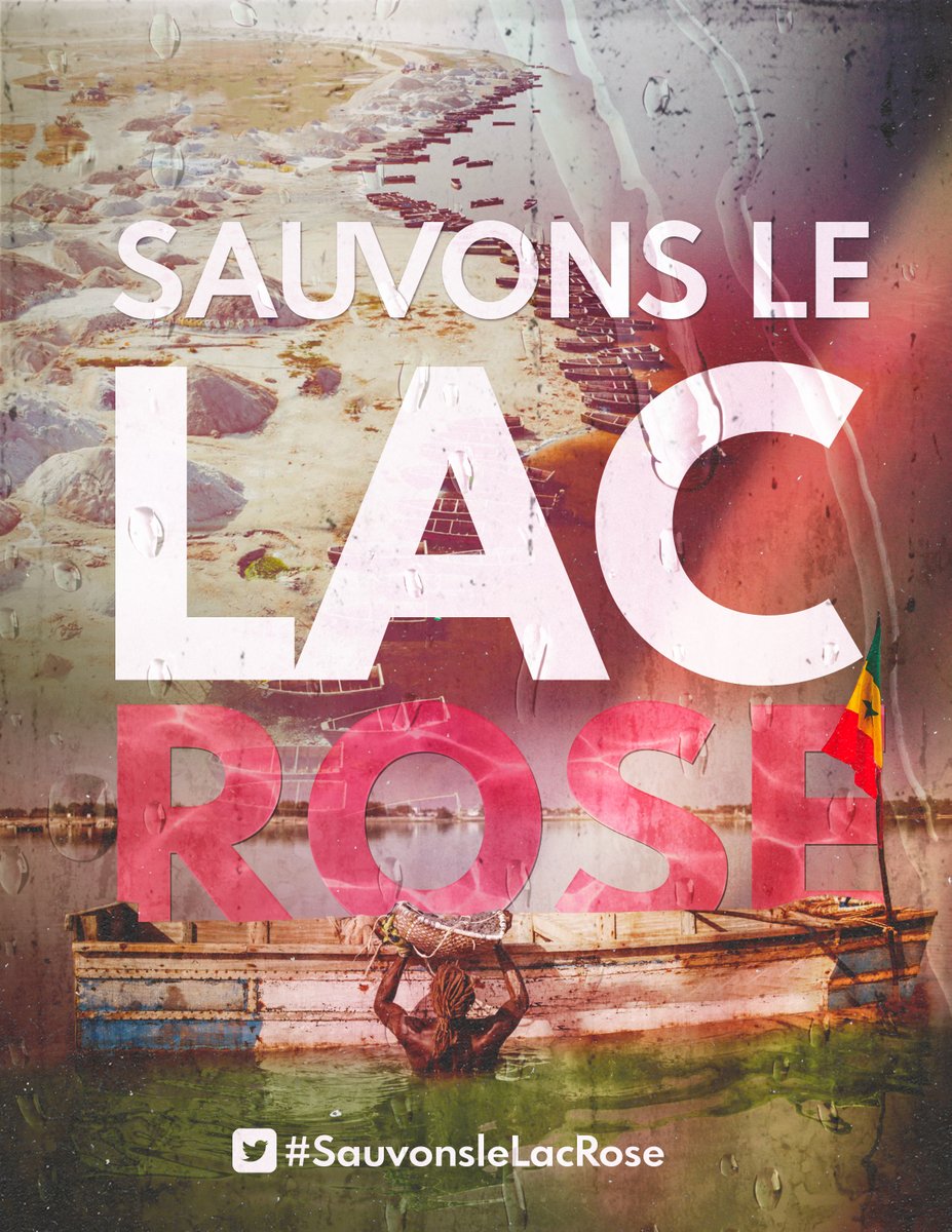 BakhdadO's tweet photo. #sauvonlacrose🇸🇳🚨 https://t.co/ozQEqZKrPR