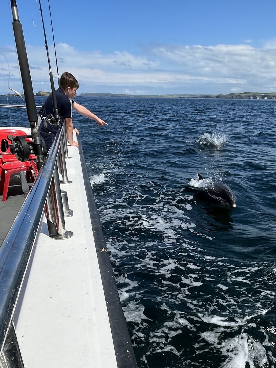 #causewayboats #Dolphins