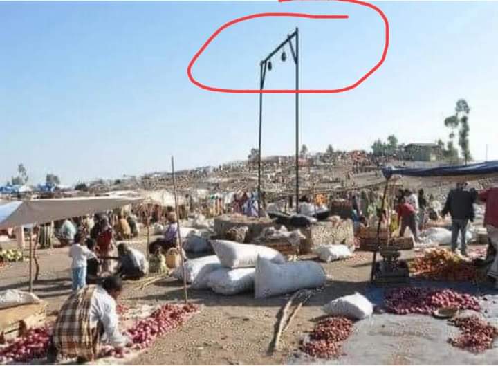 GarbiiB's tweet image. #Sibiillii kuni Walloo Ona Baatee gabaa walakkaa keessatti argama Mootummoonnii habashaa kan Sabboontoota Oromoo irrattii fanniisaa tureedha. Akka Hasan Ammeefaa asittii fannifaman jechuudha. Ummanni gabaa dhufu akka jiiluuf ykn sodaatuuf gabaa walakkaa keessatti fannisaa turan.