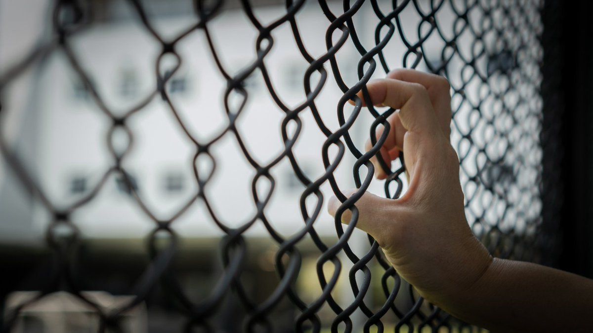 À l’occasion de la journée internationale pour le soutien aux victimes de la #torture, la🇫🇷réaffirme son engagement à lutter contre cette pratique inhumaine et exprime sa pleine solidarité avec les victimes et leurs proches.

➡️Déclaration : fdip.fr/E7qFTi6r