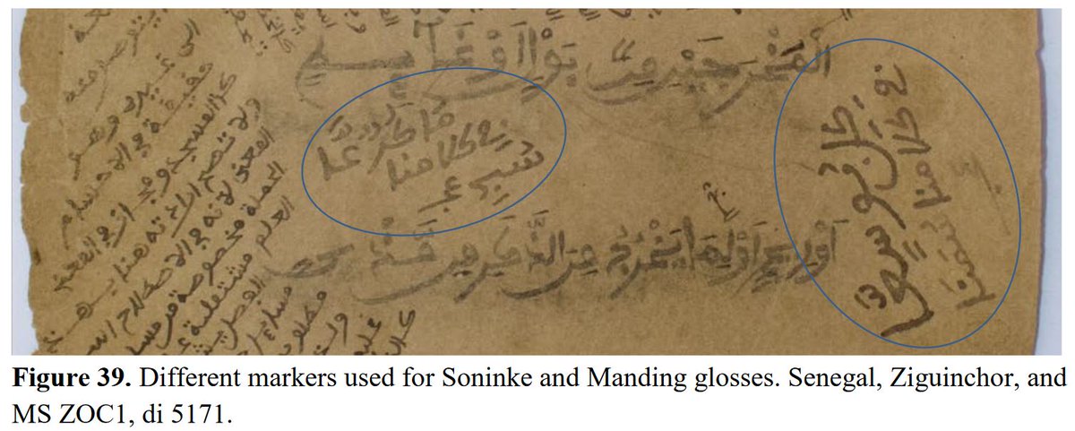 AjamiLab's tweet photo. Darya Ogorodnikova of @CSMC_Hamburg  recently published her PhD thesis on Soninke Ajami manuscripts. Free download 👉 https://t.co/6ljccL4ZAB. https://t.co/iHDAfhNoLq