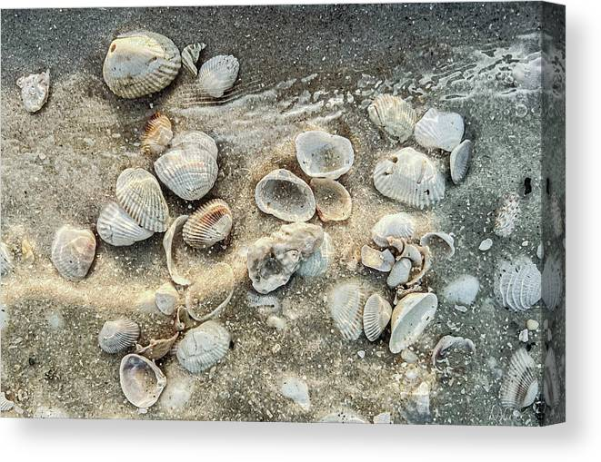 Scattered #seashells along the #beach #homedecor #beachdecor #canvasprint get yours here! #AYearForArt 
fineartamerica.com/featured/scatt…