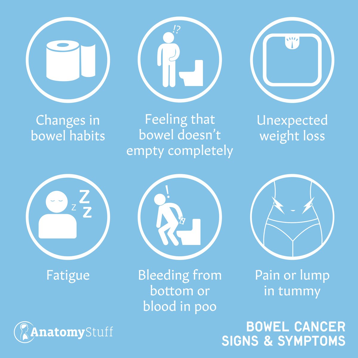 AnatomyStuff tweet media