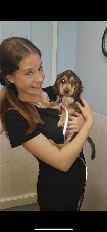 wiganleighcol's tweet image. Former @OutwoodHindley pupil, Molly Catterall has got into a prestigious summer school Veterinary programme @UniofNottingham. 

The A level student said: "I applied for the summer school in order to learn more about the subject and to see if this is a career I'd like to pursue."