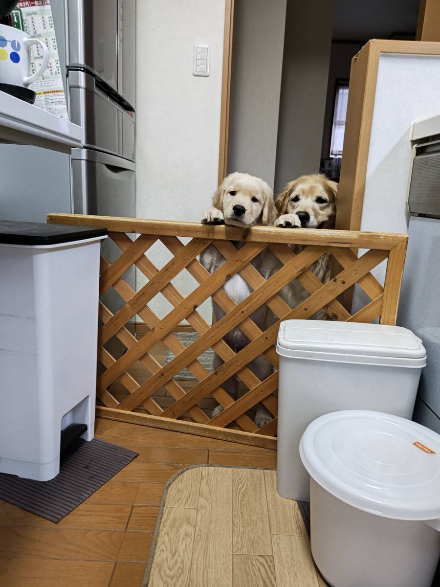 ちょっと距離が近づいた❔