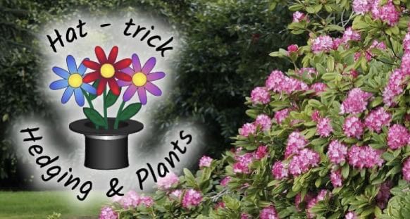 Hat-Trick Is a small Hedging and plant supplier just outside of Chelmsford in Essex.
We have many years of experience in growing, gardening and landscaping so we have great knowledge when it comes to planting.