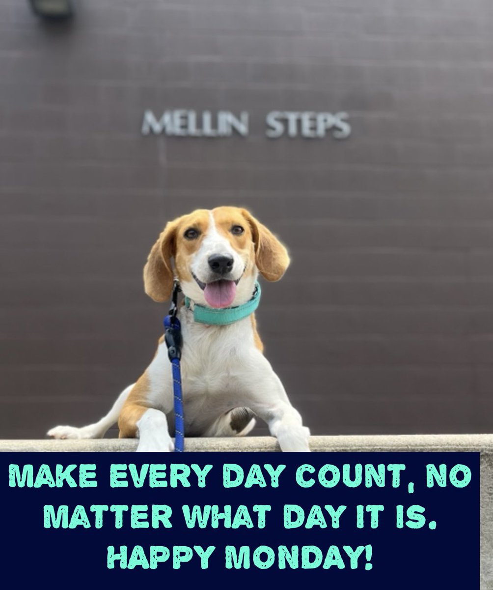 EIU Police Department (@eiupolice) on Twitter photo 